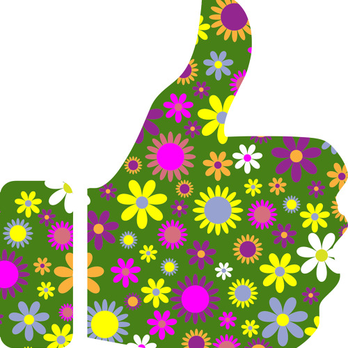 Zukunft der Informationspflicht des Landesverbandes