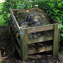 Große Gartenbegehung des BV Cuxhaven